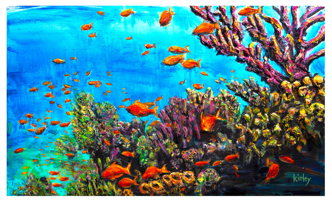 Coral Reef