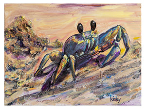 Sand Crab